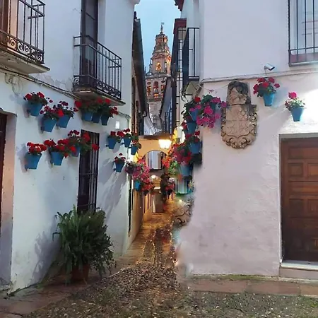 Nieves Viejas Patios Apartamento