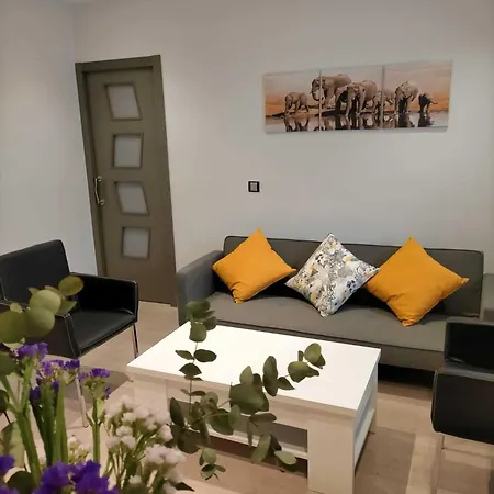 Nieves Viejas Patios