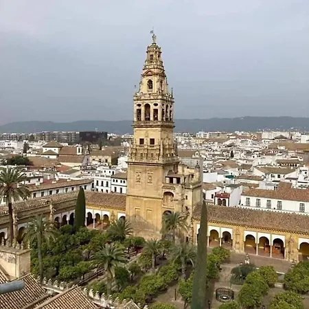 Nieves Viejas Patios 科爾多瓦